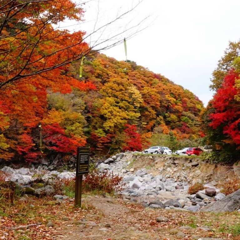 best places to visit in november in the world