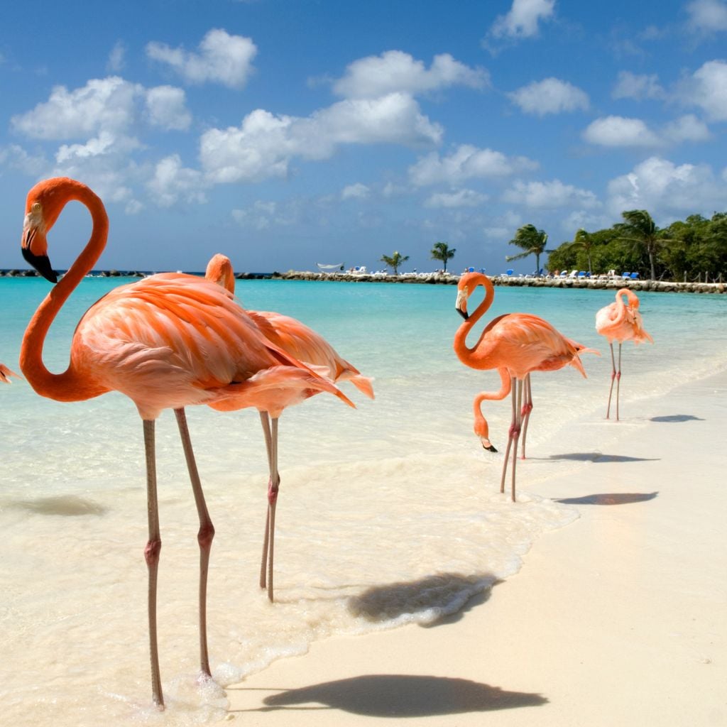 warm places to visit in november