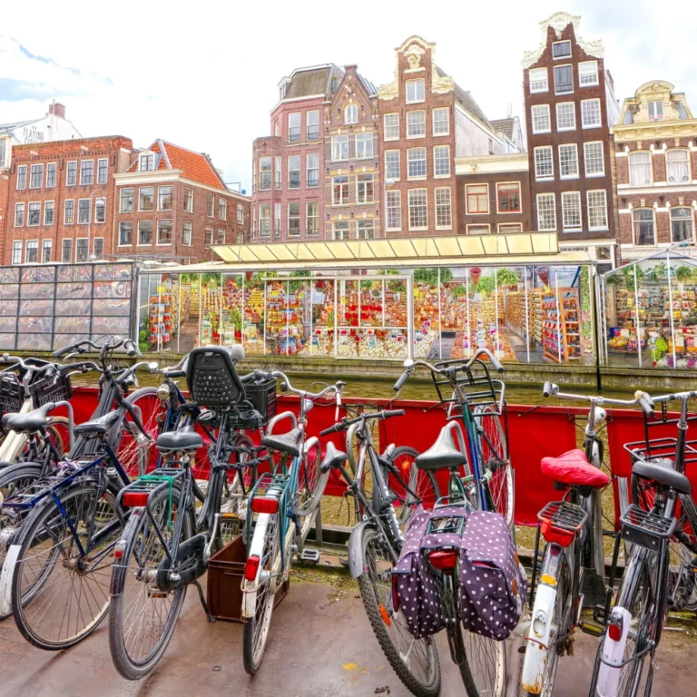 ten best things to do in amsterdam